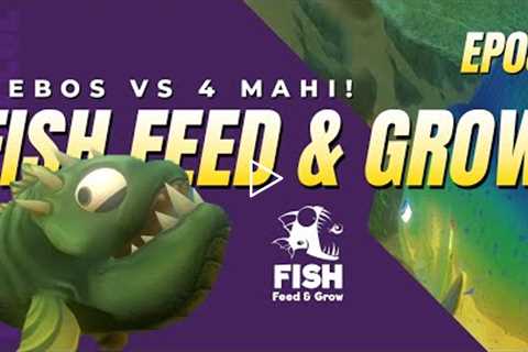 Bebos VS 4 Mahi! Fish Feed and Grow EP03