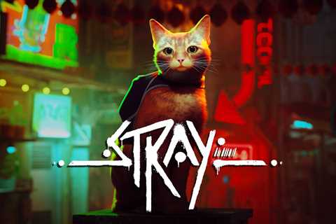 Stray Review