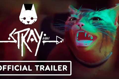 Stray - Official Launch Trailer