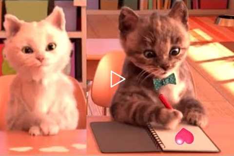 Little Kitten My Favorite Cat Pet Care Kids Games - Baby Learn Colours With Little Kitten Preschool