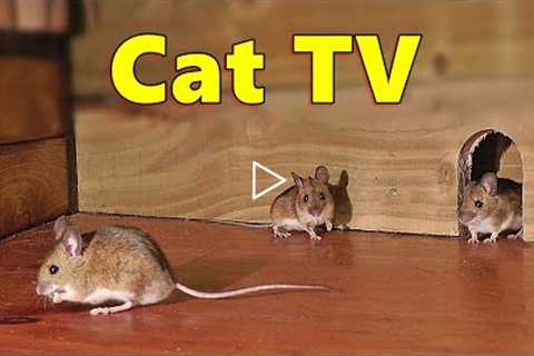 Cat TV ~ Mice in The Jerry Mouse Hole 🐭 8 HOURS 🐭 Videos for Cats