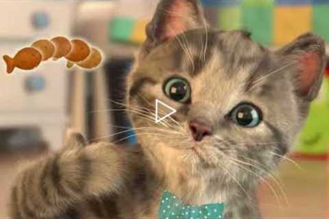 Little Kitten My Favorite Cat Cute Kitten Advemtures CAT IN REAL LIFE  Best App for Kids