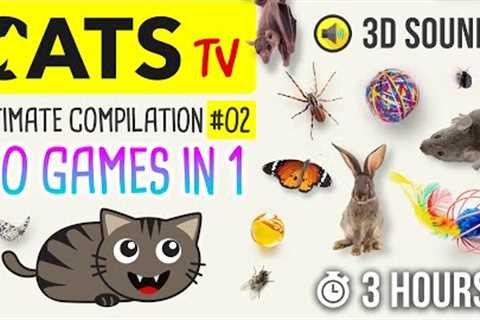 CATS TV -  ULTIMATE Games Compilation for CATS & DOGS #02 (50 games in 1)  - 3 HOURS