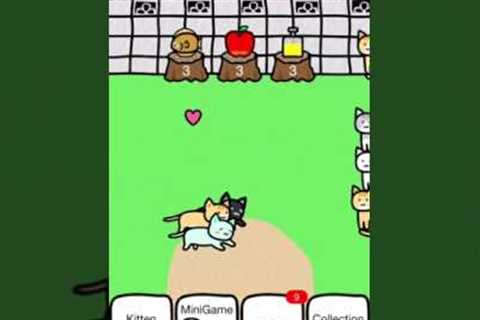 Play with cats [ outside&kitten room] Game app part 1