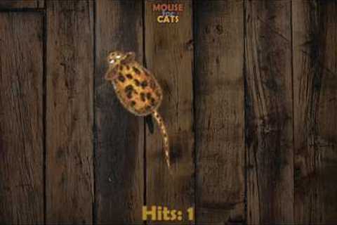 Video for Cats - Mouse for Cats: iPad game for cats app