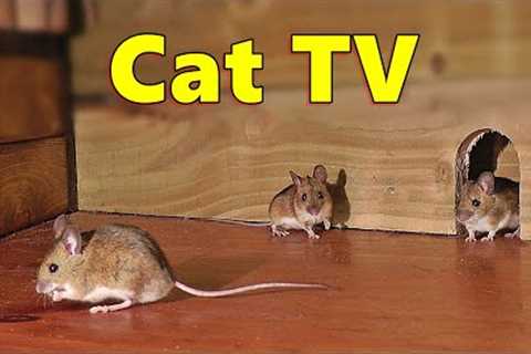 Cat TV ~ Mice in The Jerry Mouse Hole 🐭 8 HOURS 🐭 Videos for Cats