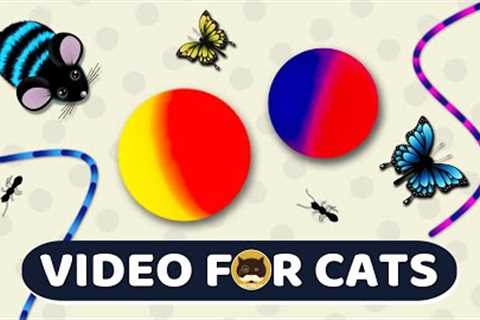 CAT GAMES - Catch the Rolling Ball, Mice, Ants, Strings, Butterflies | Video for Cats | CAT TV.