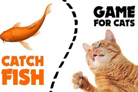 CAT GAMES  ★ catching FISH 1 hour