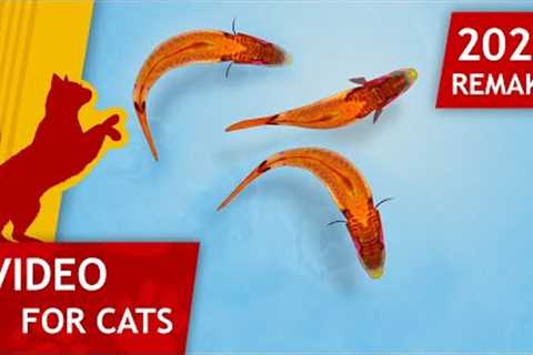 🐱Cat Games - 🐟 Catching Fish Remake 2023 (Video for Cats to watch) 4K