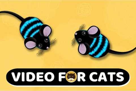 CAT GAMES - Mouse. Mice Video For Cats | CAT & DOG TV | 1 Hour.