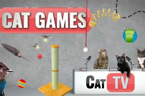 Cat Games | Ultimate Cat TV Compilation Vol 4 | 🐱