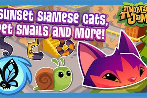 Sunset Siamese Cats, Pet Snails and More! | Animal Jam