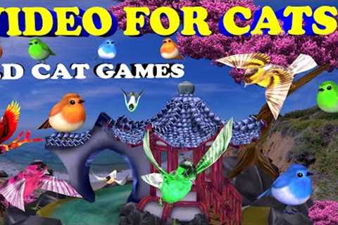 Videos for Cats to Watch - 3 Hour Birds 3d Cat Game - Cat TV Bird Watch