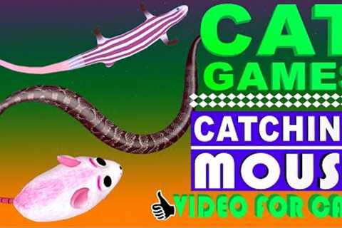 GAME FOR CATS - BEST 2023 Cat Games - Mice, Skink, Lizards & Snake Video for Cats!