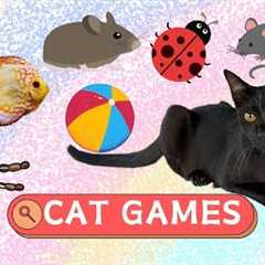 CAT TV - Collection Of Top MIX 1 🙀 🐟🦑🦜🐥Games For Cats 🐝🦆🦞🐌🦋 🐭- Game For Cats