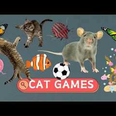 CAT GAMES - Catch Mice, Bats, String Games for Cats - VIDEOS FOR CATS TO WATCH
