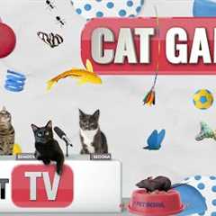 CAT Games | Ultimate Cat TV Compilation Vol 26 | 2 HOURS 🐝🐞🦋🦎🦜🐜🐭🧵