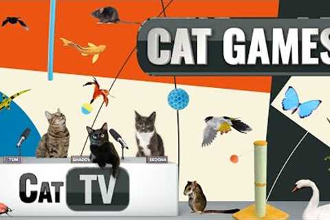 CAT Games | Ultimate Cat TV Compilation Vol 19 | 2 HOURS 🐝🐞🦋🦎🦜🐜🐭🧵