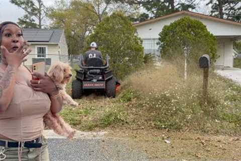 OWNER Wishes we had Mowed WITHOUT asking for PERMISSION!