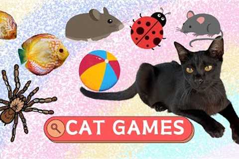 CAT TV - Collection Of Top MIX 1 🙀 🐟🦑🦜🐥Games For Cats 🐝🦆🦞🐌🦋 🐭- Game For Cats