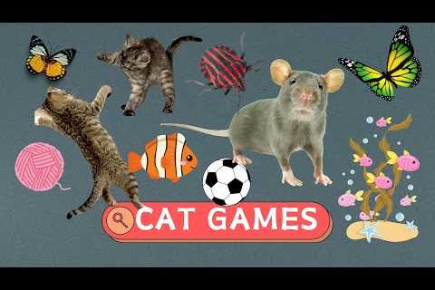 CAT GAMES - Catch Mice, Bats, String Games for Cats - VIDEOS FOR CATS TO WATCH