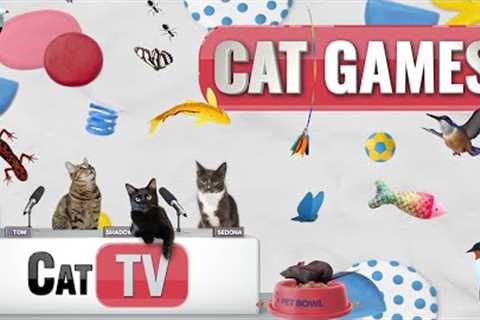 CAT Games | Ultimate Cat TV Compilation Vol 26 | 2 HOURS 🐝🐞🦋🦎🦜🐜🐭🧵