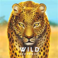 Wild: Serengeti Review