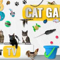 CAT Games | Ultimate Cat TV Compilation Vol 56 | 2 HOURS 🐝🐞🦋🦎🦜🐜🐭🧵