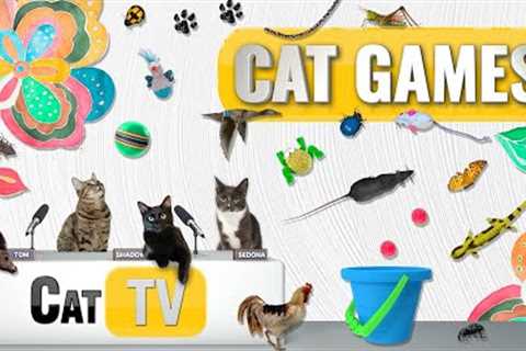 CAT Games | Ultimate Cat TV Compilation Vol 56 | 2 HOURS 🐝🐞🦋🦎🦜🐜🐭🧵