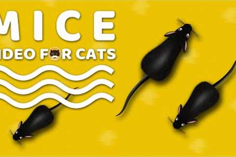 CAT GAMES - Mice. Mouse Sounds Video for Cats | CAT & DOG TV.