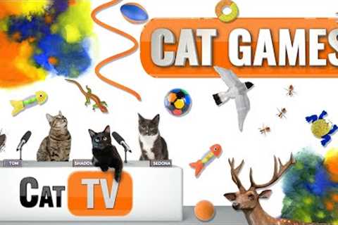 CAT Games | Ultimate Cat TV Compilation Vol 60 | 2 HOURS 🐝🐞🦋🦎🦜🐜🐭🧵