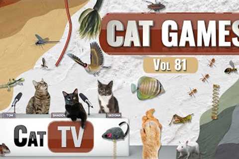 CAT Games | Ultimate Cat TV Compilation Vol 81 | 4 HOURS  🐝🐞🦋🦎🦜🐜🐭🧵