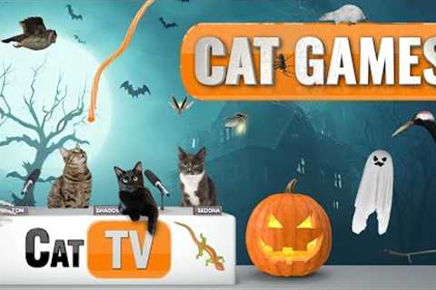 Cat Games | Purranormal Playtime: A Spooky Halloween Cat TV Special 🎃🐱 | Videos For Cats to Watch ..