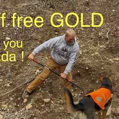 Biggest pile of Canadian gold yet !!!!!