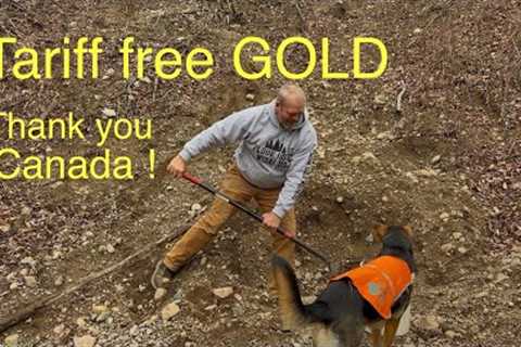 Biggest pile of Canadian gold yet !!!!!