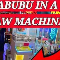 SECRET IN THE ARCADE. Viral sensation in a claw machine,Remember what we win you win each month.