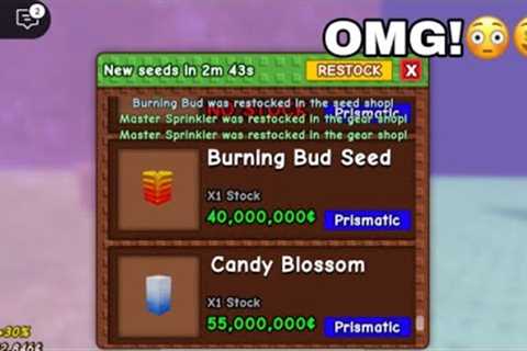 OMG! The Admin Abuse Stock Was Crazy😳🤑 ( Grow a Garden )